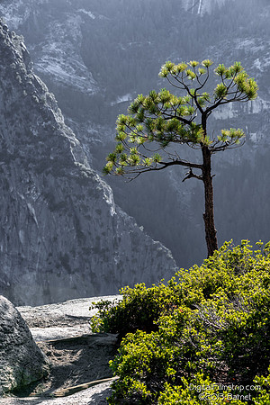 Yosemite