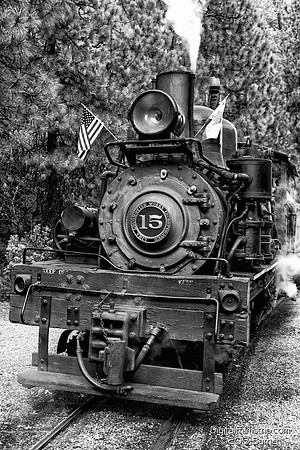 Sugar Pine Railroad - Yosemite