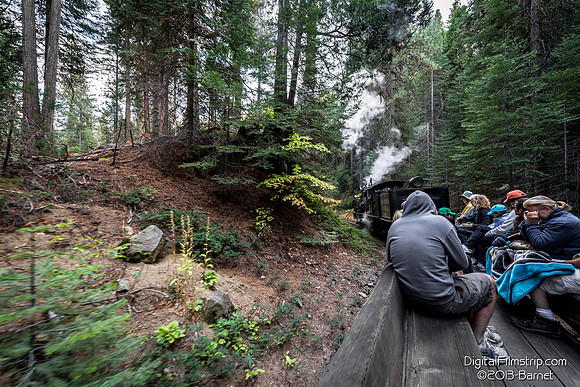 Sugar Pine Railroad - Yosemite