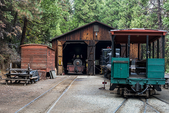 Sugar Pine Railroad - Yosemite