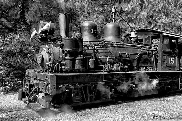 Sugar Pine Railroad - Yosemite