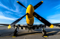 Planes of Fame 2014