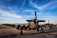 Planes of Fame 2014