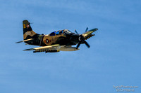 Planes of Fame 2014