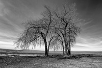 North Dakota