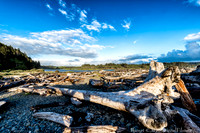Forks, WA