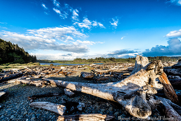 Forks, WA