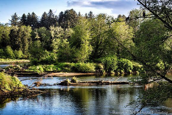 Forks, WA