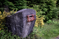 Pretty secure mailbox on LaPush Road - Forks, WA