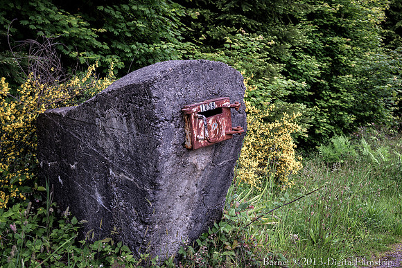 Pretty secure mailbox on LaPush Road - Forks, WA