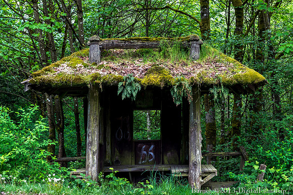 Bainbridge, WA