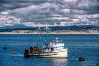 Monterey