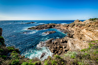 Point Lobos State Park