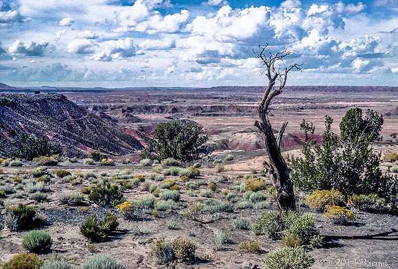 Painted Desert AZ, Nikon S2 - Kodachrome 25 1965