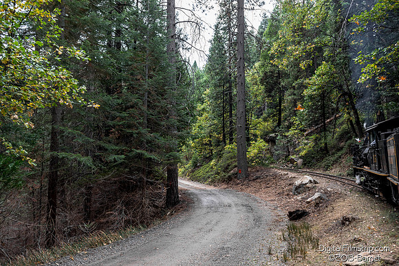 Sugar Pine Railroad - Yosemite
