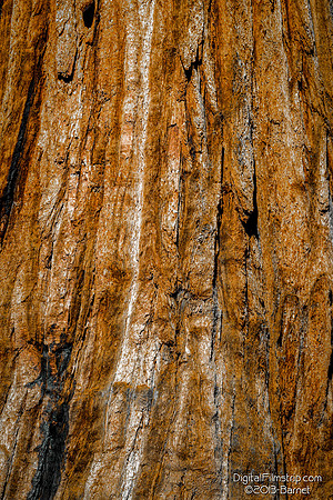Yosemite